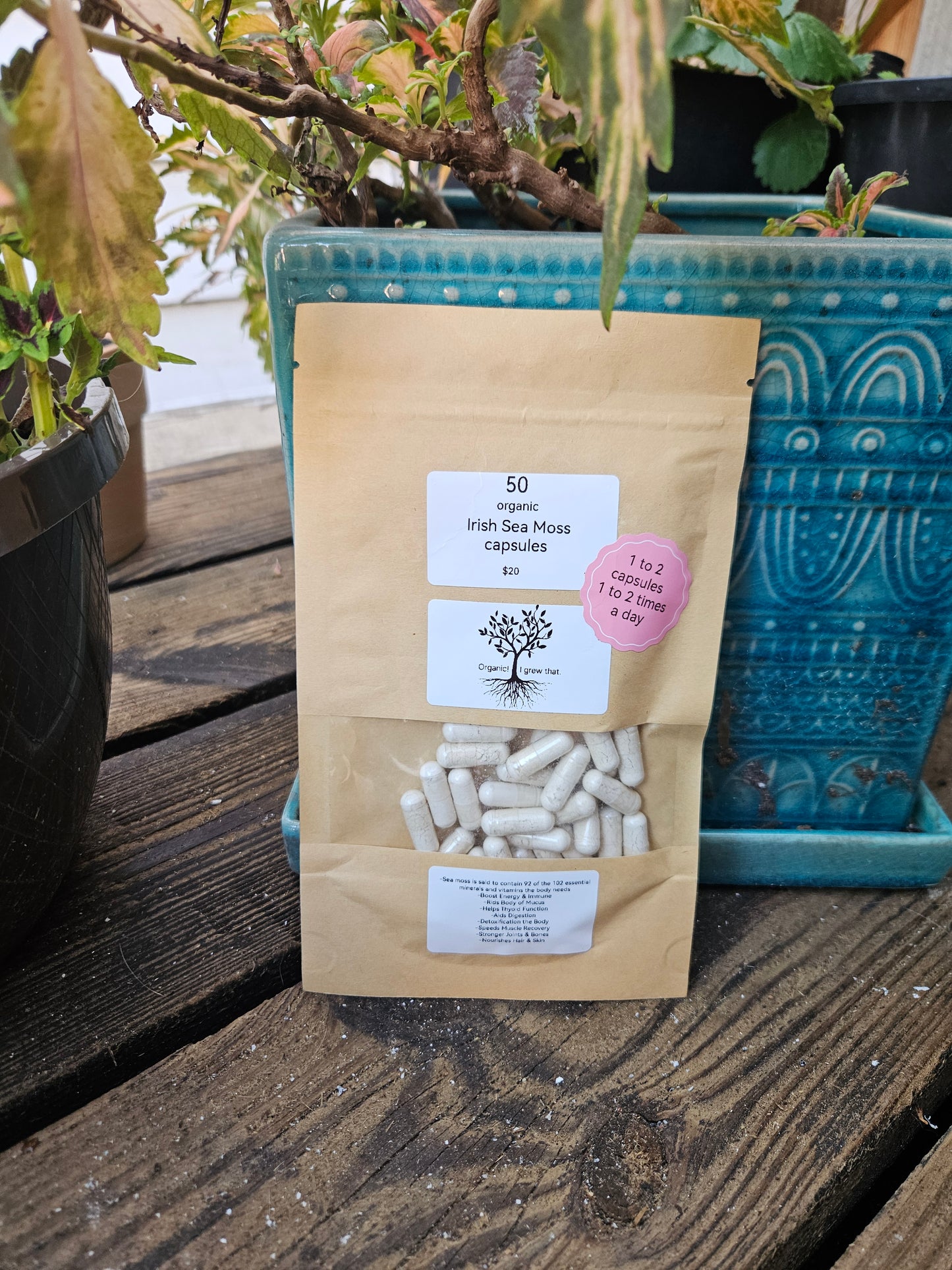 50 Irish Sea Moss Capsules